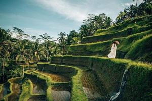 Best Ubud Tour: Nature, Temple, Rice Terrace, Waterfall and Coffee Tour